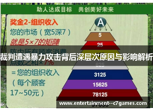 裁判遭遇暴力攻击背后深层次原因与影响解析